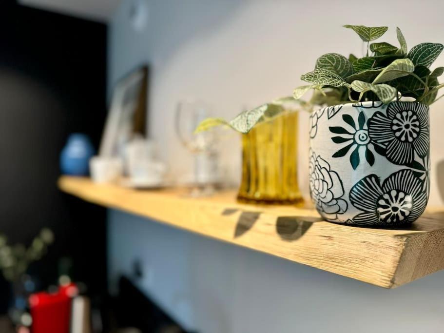 Art & High Studio Z Parkingiem Podziemnym Krynica Zdroj Eksteriør billede