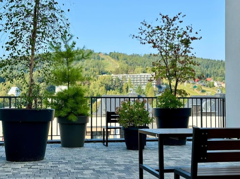 Art & High Studio Z Parkingiem Podziemnym Krynica Zdroj Eksteriør billede